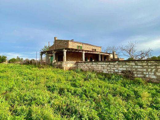 Rural or Farmhouse in Santa Margalida, Province of Balearic Islands