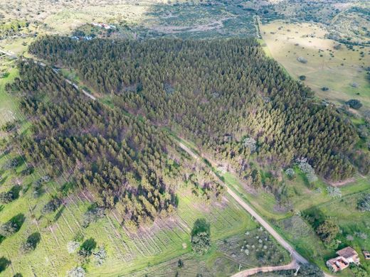 Terreno en Grândola, Setúbal