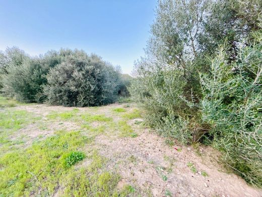 Terreno a Inca, Isole Baleari