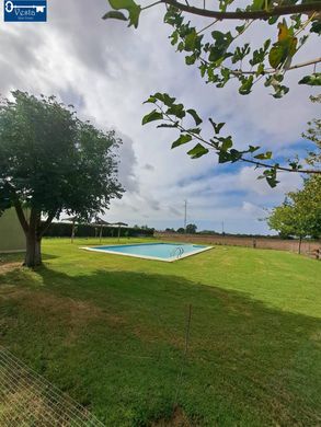 전원/농가 / Jerez de la Frontera, Provincia de Cádiz