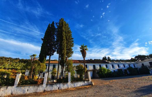 Rural or Farmhouse in Albolote, Granada