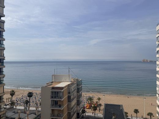 Apartamento - Benidorm, Provincia de Alicante