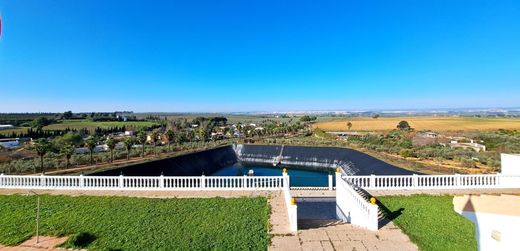 Усадьба / Сельский дом, Mairena del Alcor, Provincia de Sevilla