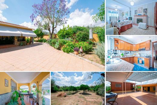 Detached House in Mairena del Aljarafe, Province of Seville