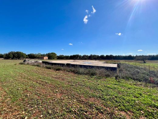 Terreno a Campos, Isole Baleari