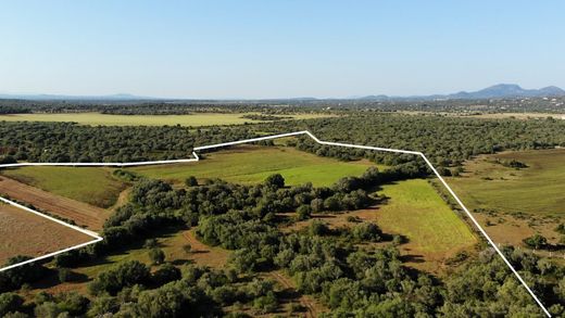 토지 / Santanyí, Illes Balears