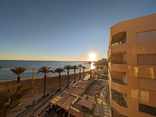 Apartment in Torrevieja, Alicante