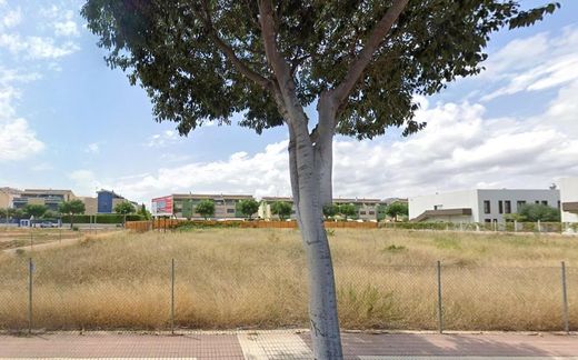 Αγροτεμάχιο σε Castelló de la Plana, Província de Castelló