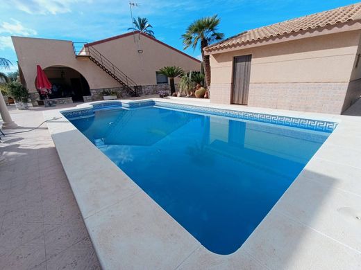 Detached House in Elche, Alicante