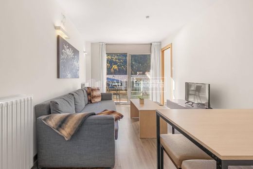 Apartment / Etagenwohnung in Canillo