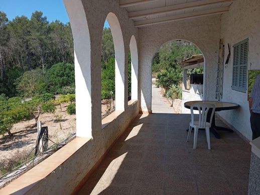 Rustykalny lub Wiejski w Lloret de Vistalegre, Illes Balears