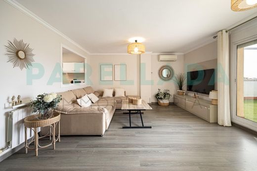 Daire Badalona, Província de Barcelona