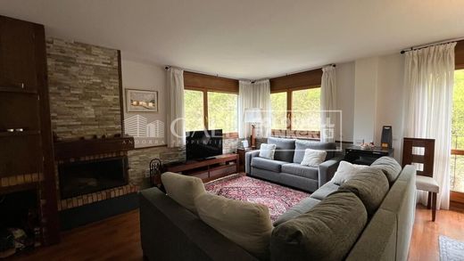 Apartment / Etagenwohnung in Ordino