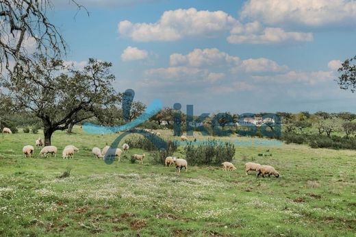 Land in Puebla de Guzmán, Province of Huelva