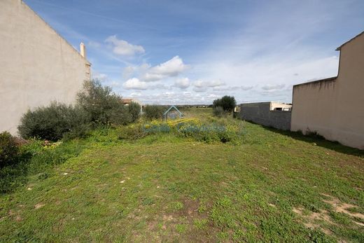 Teren w Ses Salines, Illes Balears