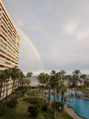 Apartment in El Campello, Alicante