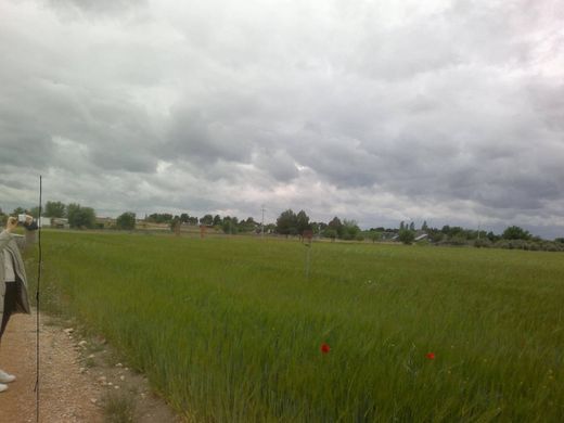 Land in Socuéllamos, Ciudad Real