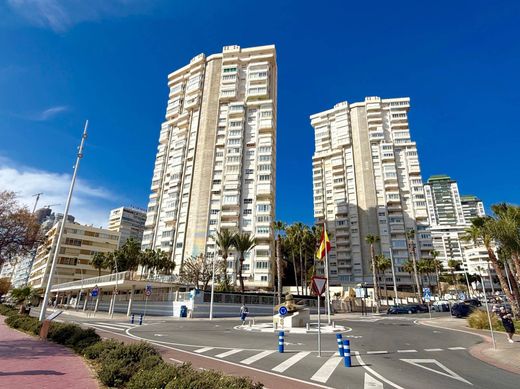 Apartment in Benidorm, Alicante