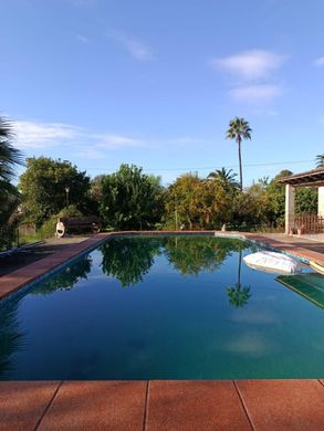 村舍/农舍  Binissalem, Illes Balears