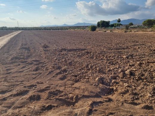 Grond in Rojales, Provincia de Alicante