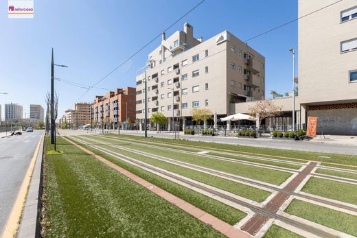 Apartment / Etagenwohnung in Granada, Andalusien