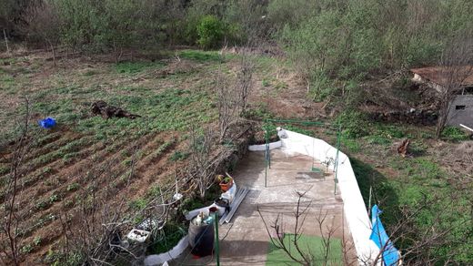 Land in La Orotava, Province of Santa Cruz de Tenerife