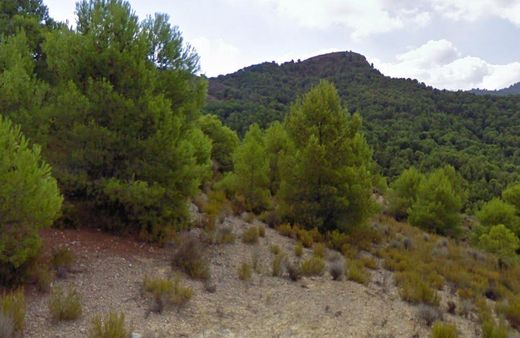 Land in Lorca, Murcia