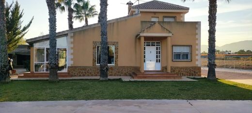 Dom jednorodzinny w Elx, Provincia de Alicante