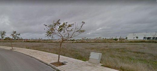 Land in Sagunto, Valencia