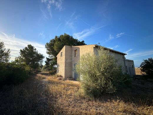 Rural or Farmhouse in Muro, Province of Balearic Islands