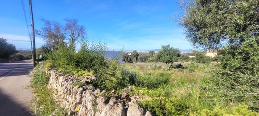 Terreno - Marratxí, Ilhas Baleares