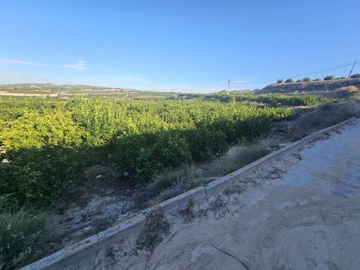 Grundstück in Bigastro, Alicante
