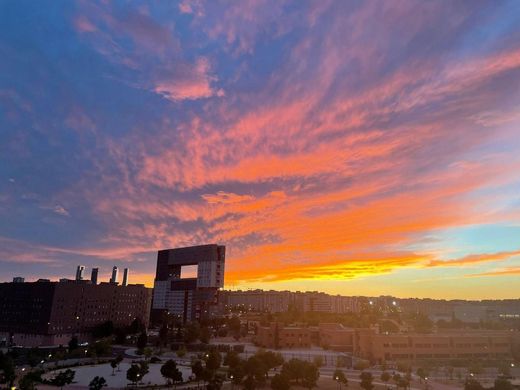 Penthouse Madrid, Provincia de Madrid