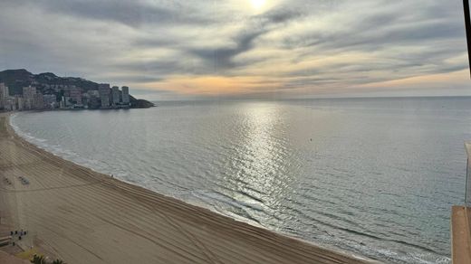 Apartment in Benidorm, Alicante