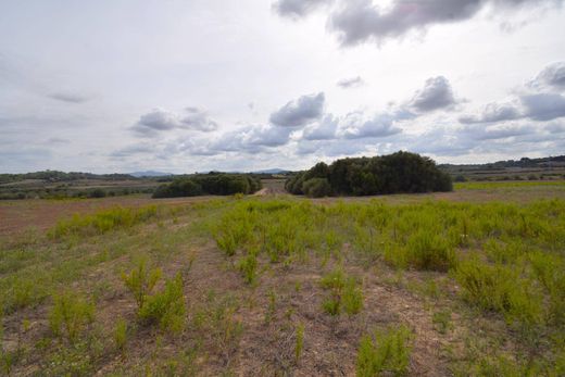 Arsa Muro, Illes Balears