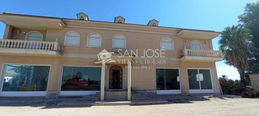 Detached House in Crevillent, Alicante