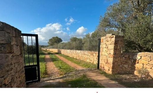 Luxury home in Marratxí, Province of Balearic Islands