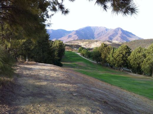 Terrain à Casares, Malaga