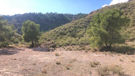 Terreno a Lorca, Murcia