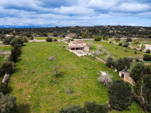 ﻣﻨﺰﻝ ﺭﻳﻔﻲ/ ﺑﻴﺖ ﻤﺰﺭﻋﺔ ﻓﻲ Santa Margalida, Illes Balears