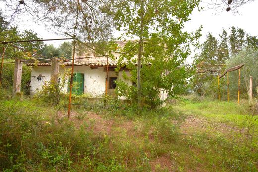‏בתים כפריים או חוות ב  Muro, Illes Balears