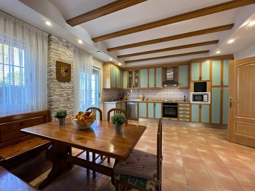 단독 저택 / Zaragoza, Provincia de Zaragoza