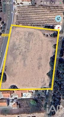 Farma w Santo André, Santiago do Cacém