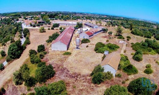 Casa de luxo - Vila Nova do Coito, Santarém