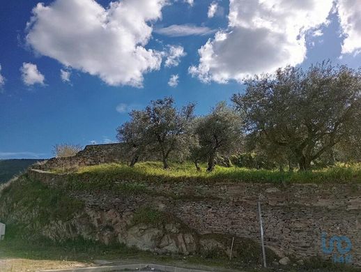 토지 / Torre de Moncorvo, Distrito de Bragança