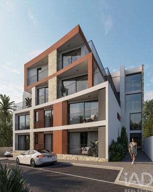 Apartment in Ponta do Sol, Madeira