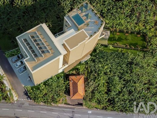 Apartment in Câmara de Lobos, Madeira