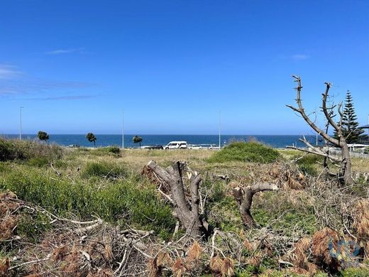 Vila Praia de Âncora, Caminhaの土地