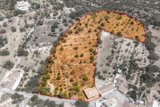 Terreno en Paderne, Albufeira