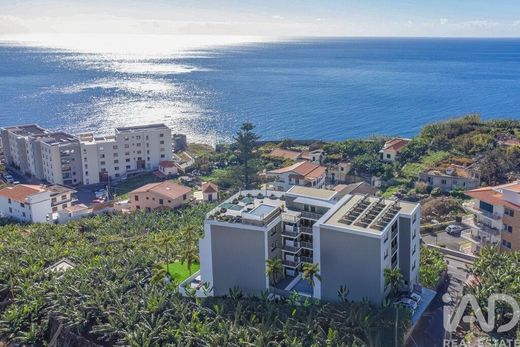 Apartment in Câmara de Lobos, Madeira